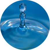 Nantong Tianhong Textile Technology Co, Ltd.