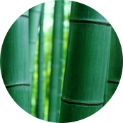 Nantong Tianhong Textile Technology Co, Ltd.