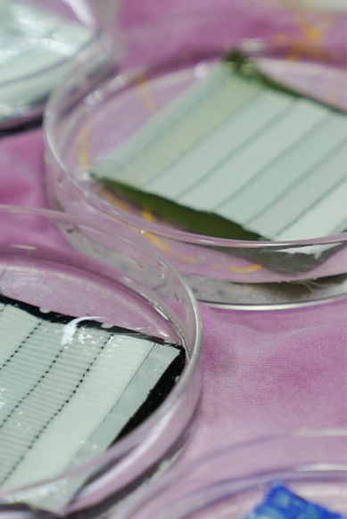 Nantong Tianhong Textile Technology Co, Ltd.