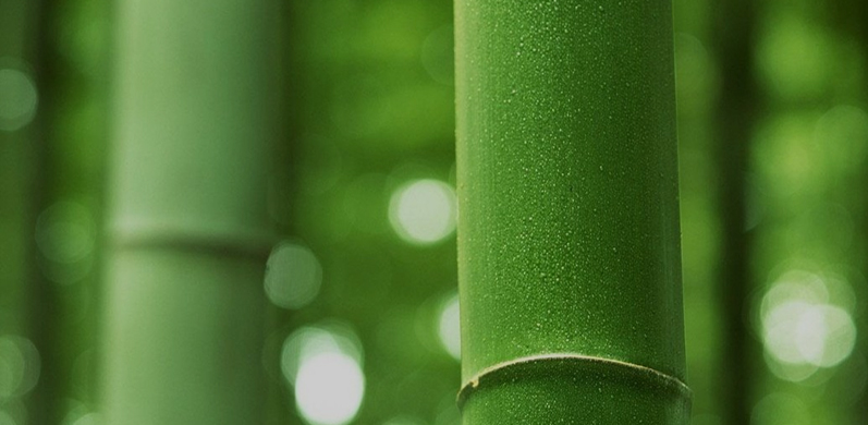 Nantong Tianhong Textile Technology Co, Ltd.